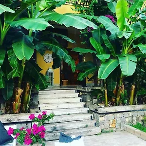 Hotel Boutique, Sarigerme